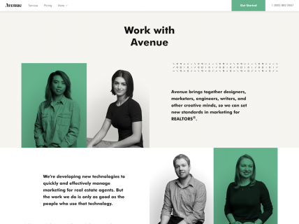 Screenshot of the Careers page from the Avenue website.
